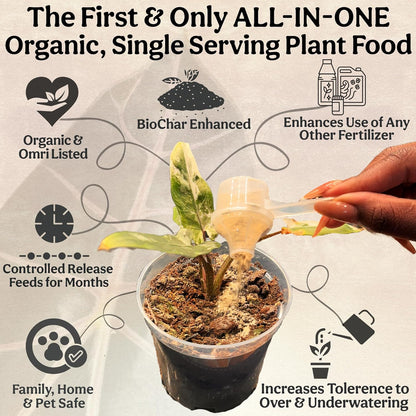 The All-in-One Complete Organic Plant Food, Indoor Plant Food for Houseplants, Organic Fertilizer for Vegetable Gardens, 3lb =75 Formulated Servings Feeds 150 gal Instantly and Slow Release