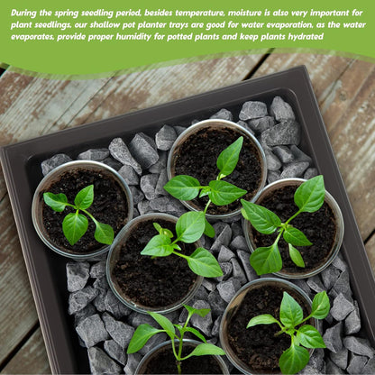 Pinkunn 2 Pcs Bonsai Humidity Tray Drip Tray Plastic Plant Water Catcher Plant Saucers for Indoors and Outdoors Cactus,Succulents,Bonsai Tree,Stone Not Included (11 x 8 Inch)