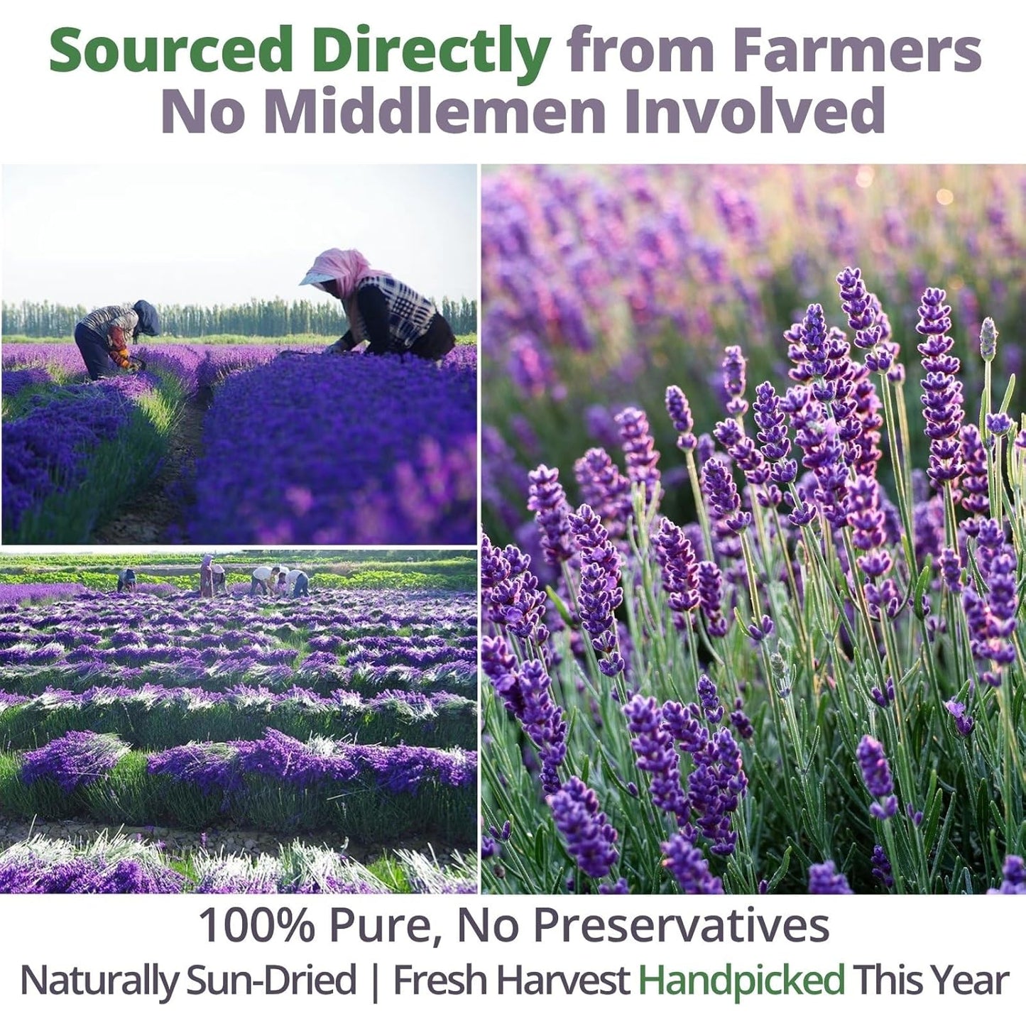 Dried Culinary Lavender – 100% Natural Food Grade Lavender Buds Herbs Tea, 3.53oz (100g), Edible Lavenders Flowers for Drinks, Baking, Cooking, Tea, Bath Soak, DIY Skincare & Crafts