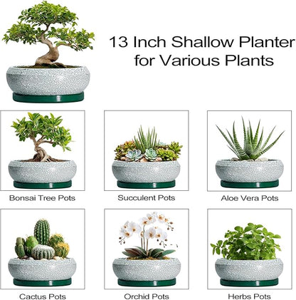 Bonsai Pots 13 Inch - Shallow Ceramic Planter with Drainage Hole and Saucer, Round Succulent Pots for Indoor Outdoor, Large Succulent Planter, Apartment Decor, Gardening Gifts, Green