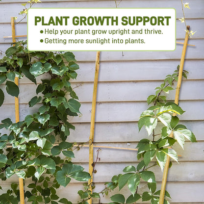 Avalution 10 Pack Bamboo Trellis for Climbing Plants, 3 FT Garden Ladder Trellis for Potted Plants Indoor, Fan-Shaped Small Plant Support Trellis for Houseplants Ivy Hoya Vine Monstera