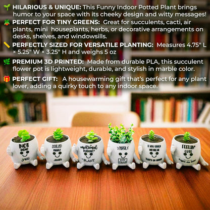 Funny Face Indoor Head Planter Pot, 3D Printed, Unique Small Succulent Flower Pot, Cute Cactus Planter, Indoor Home Decor, Office Desk Plant Pot, Novelty Gardening Gift Set