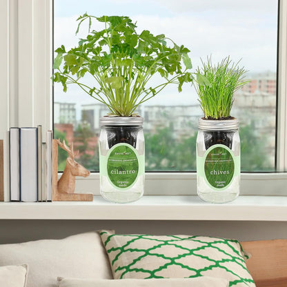 2-Pack Hydroponic Mason Jar Herb Garden Kit, Indoor Herb Garden Self-Watering Starter Kit (Cilantro,Chives)
