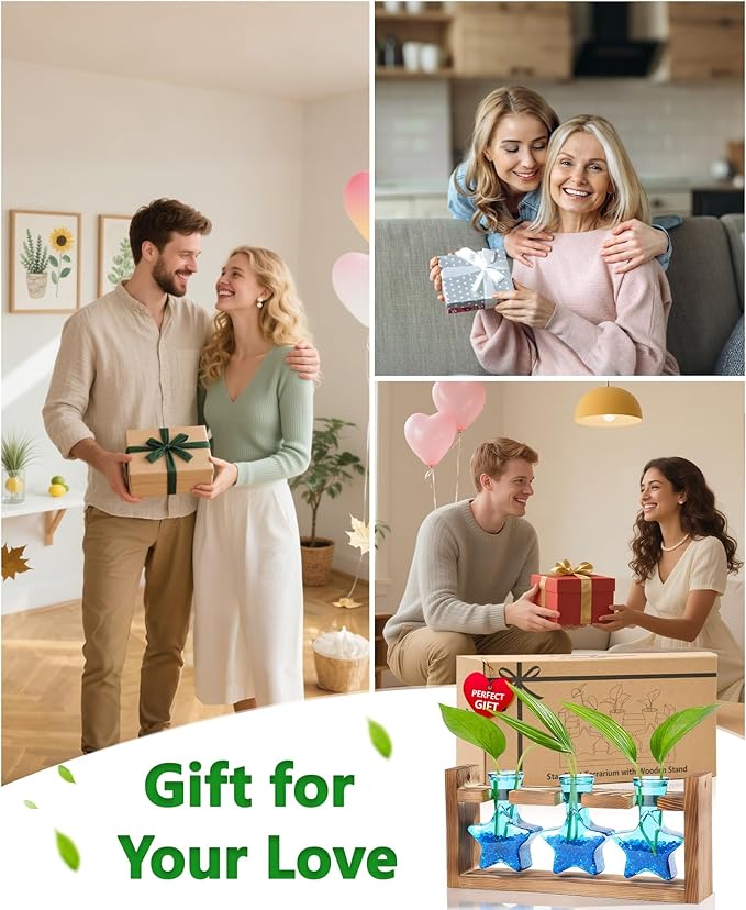 Nacome Star Glass Propagation Stations: Plant Terrarium with Wooden Stand Vase for Home Office Desk Decor, Unique Gifts for Plant Lovers Women Mom (Blue)