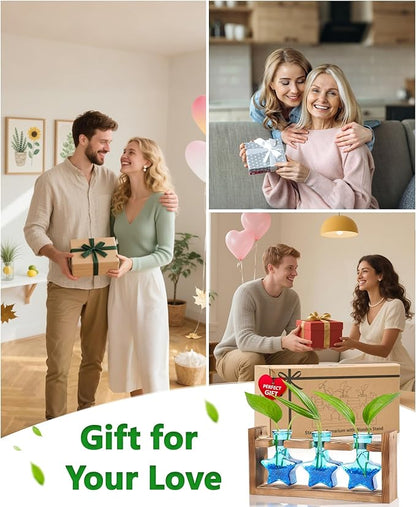 Nacome Star Glass Propagation Stations: Plant Terrarium with Wooden Stand Vase for Home Office Desk Decor, Unique Gifts for Plant Lovers Women Mom (Blue)