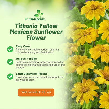 Outsidepride Yellow Torch Mexican Sunflower Seeds - 500 Pcs Annual, Easy-to-Grow, Yellow Tithonia Speciosa Flower Seeds w/Drought-Tolerant Blooms for Pollinator Gardens & Vibrant Summer Landscaping