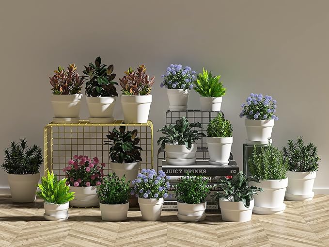 Fcacti 3 Inches Small White Terracotta Pots with Saucer, 12 Pack 3 Terra Cotta Planter with Drainage Holes, Small Clay Flower Pots for Plants, Succulents, Crafts, Wedding Favor