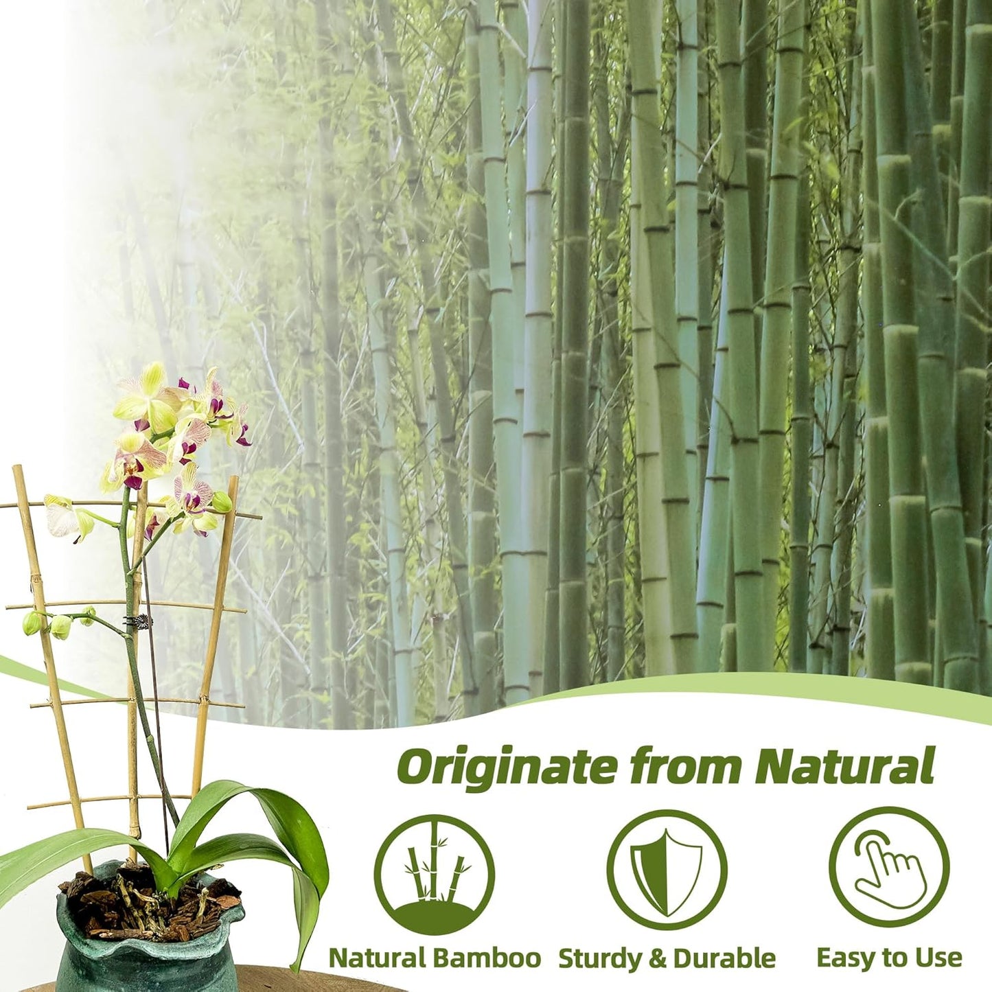 Bamboo Trellis for Climbing Plants 20 Pack, 16 Inch Garden Ladder Trellis for Potted Plants Indoor, Small Plant Support Trellis for Houseplants Vine