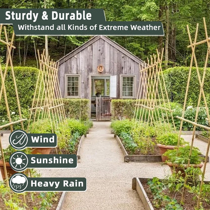 50Pcs / 16 inch Bamboo Plant Stakes for Indoor Outdoor Plants, Garden Plant Support Sticks, Poles for Tomato Vegetables Beans Trees Potted Climbing Plants(0.32'')