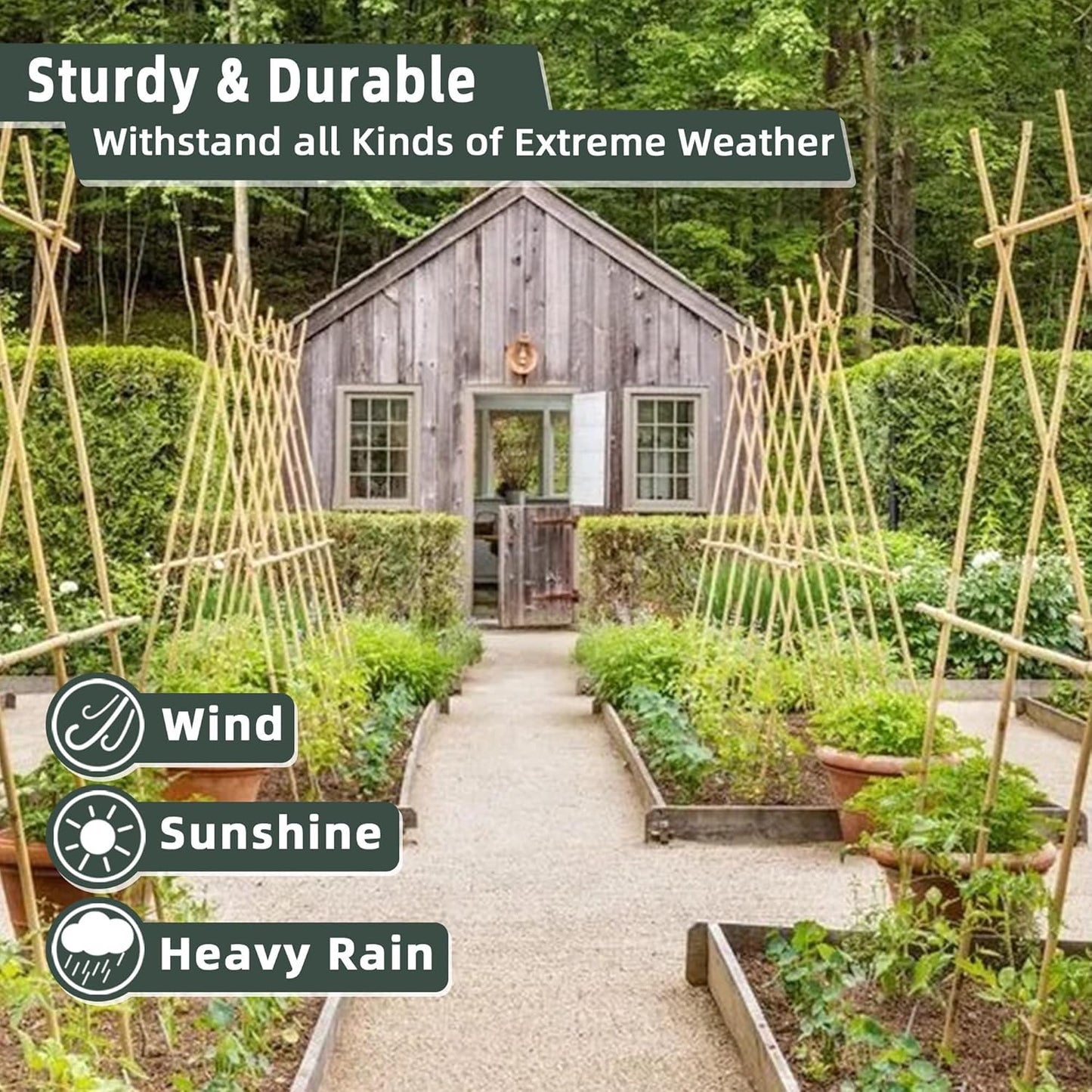 50Pcs / 6ft Bamboo Plant Stakes for Indoor Outdoor Plants, Garden Plant Support Sticks, Poles for Tomato Vegetables Beans Trees Potted Climbing Plants(0.32''-0.4'')