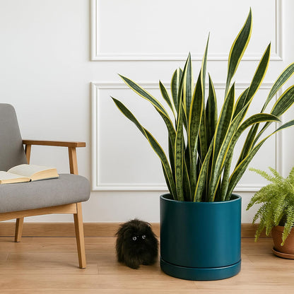 D'vine Dev 14 Inch Ceramic Planter Pot with Drainage Hole and Saucer, Indoor Cylinder Round Planter Pot, Teal, 94-O-G-9