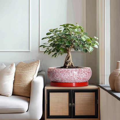 Bonsai Tree Pots 13 Inch - Ceramic Bonsai Pots with Drainage Hole and Tray, Large Succulent Planters Indoor, Round Bowl Planter Outdoor, Shallow Planter, Garden Decor, Plant Lover Gifts, Red