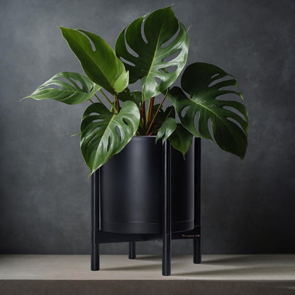 D'vine Dev Planter Pot with Stand - 12 Inch Plastic Cylinder Flower Pot with Wood Planter Holder for Indoor, Matte Black Pot + Ebony Stand, 55-C-Q-2