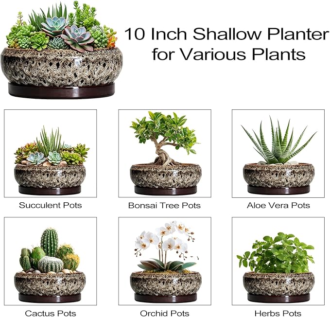 Succulent Pots 10 Inch - Ceramic Bonsai Pots with Drainage Hole and Tray, Large Succulent Planters, Shallow Planter Indoor, Round Planter Bowl, Window Decor, Gifts for Plant Lovers, White