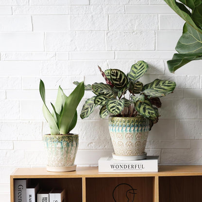 6 Inch + 5 Inch Ceramic Planter with Drainage Hole and Saucer for Plants, Indoor-Outdoor Round Succulent Orchid Garden Flower Pot - Set of 2