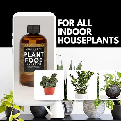 Lush Leaf | Plant Food (Indoor)