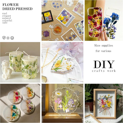 192Pcs Dried Pressed Flowers for Resin, Assorted Real Natural Bulk Dry Floral Leaves for DIY Art Crafts, Epoxy Molds, Jewelry, Soap, Candle Making, Nails Decors