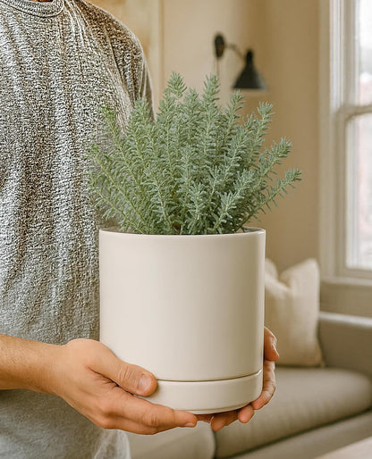 D'vine Dev 6.5 Inch Ceramic Planter Pot with Drainage Hole and Saucer, Indoor Cylinder Round Planter Pot, Oatmeal, 94-O-C-8