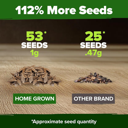 HOME GROWN 𝗨𝗦𝗔 53 White Lilac Flower Seeds Non-GMO, Heirloom Tree Seeds for Planting, Fragrant Flowering Tree Seeds for Landscaping, Pollinator Gardens, and Ornamental Borders (Syringa reticulata)