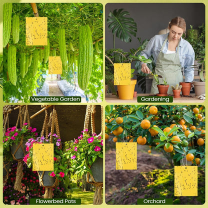 Qualirey 20 Pcs 6 x 8 Inch Sticky Traps for Plant Double Sided Sticky Trap for Gnats with Twist Ties Fly Traps for Fruit Insect Fungus Bugs Indoor Outdoor (Yellow)