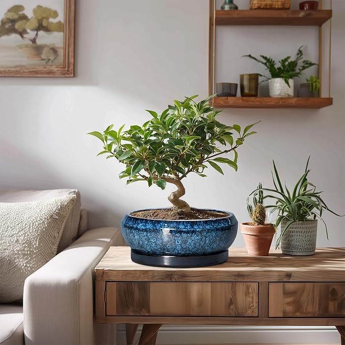 Bonsai Pots 8 Inch - Ceramic Succulent Planter for Indoor Outdoor, Round Bonsai Planter with Drainage Hole and Saucer, Shallow Ceramic Planters Bowl, Patio Decor, Housewarming Gift, Blue