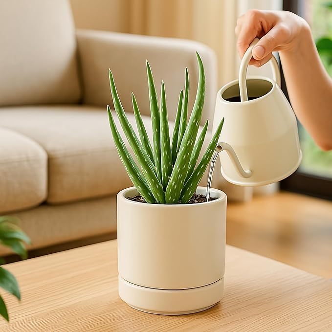 D'vine Dev Set of 2 Plants Pots, 4.7 Inch Ceramic Planter Pot for Plants with Drainage Hole and Saucer, Oatmeal, 94-V-B-8