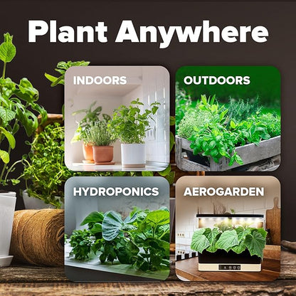 HOME GROWN Premium USA-Grown Vegetable Seeds - 10 Variety Pack with 5,800+ Non-GMO Heirloom Seeds for Planting - Garden Vegetable Seeds for Indoor & Outdoor Planting - Survival Seed Vault Kit