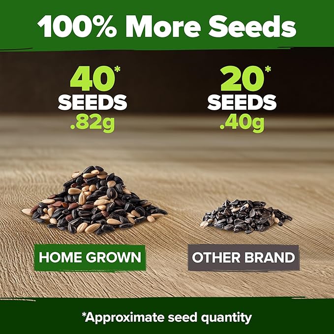 HOME GROWN 𝗨𝗦𝗔 𝗣𝗥𝗘𝗠𝗜𝗨𝗠 Autumn Beauty Sunflower Seeds to Plant 40 Heirloom Non-GMO Sunflower Seeds for Planting Blooms for Pollinator Support, and Ornamental Flower Garden (Helianthus annuus)