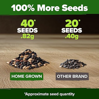 HOME GROWN 𝗨𝗦𝗔 𝗣𝗥𝗘𝗠𝗜𝗨𝗠 Autumn Beauty Sunflower Seeds to Plant 40 Heirloom Non-GMO Sunflower Seeds for Planting Blooms for Pollinator Support, and Ornamental Flower Garden (Helianthus annuus)