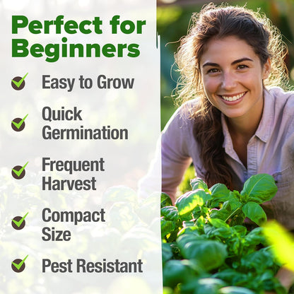 HOME GROWN Genovese Basil Seeds 2 Pack - 3500 𝗡𝗢𝗡-𝗚𝗠𝗢 𝗨𝗦𝗔 Heirloom Basil Seeds for Planting (Ocimum basilicum) - Herb Seeds for Indoor & Outdoor Gardening - Grow for Culinary Use