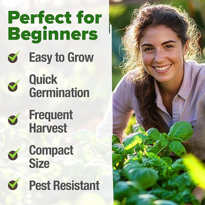 HOME GROWN 𝗨𝗦𝗔 𝗣𝗥𝗘𝗠𝗜𝗨𝗠 Genovese Basil Seeds Pack 1,750+ High Germination 𝗡𝗢𝗡-𝗚𝗠𝗢 Heirloom Seeds (Ocimum basilicum) Herb Seeds for Planting Indoor & Outdoor Gardening, for Culinary Use