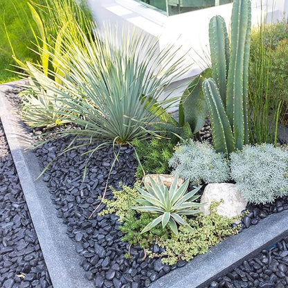 20 lbs Black River Rocks for Landscaping, 1-2 Inch Decorative Black Pebbles for Indoor Plants, Vase Fillers, Garden, Potted Plant Rocks, Paving, Fountain and Outdoor Decoration Black Stones