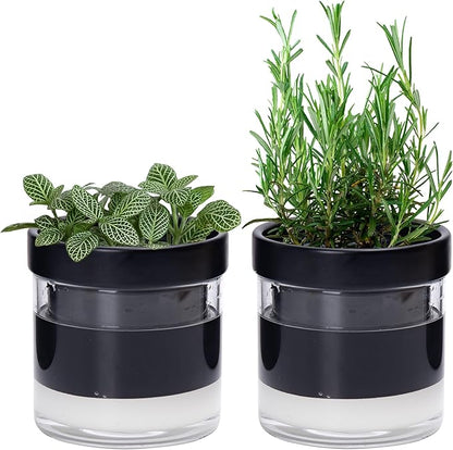 Phoenix Vine 4 Inch Self Watering Planter Pot, Black Terracotta Clay Pot with Glass Reservoir for Indoor Plants, Herbs, Flowers, Set of 2, 52-C-E-2