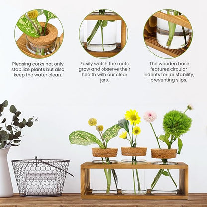 Propagation Stations, Plant Terrarium for Indoor Hydroponic Decor, Glass planters for Fresh Cuttings, Unique Birthday Gifts for Women & Mom, Home/Office Decor