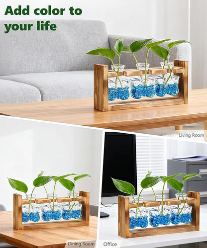 Nacome Butterfly Vase Propagation Stations: Glass Plant Terrarium with Wooden Stand for Home Office Desk Decor, Unique Gifts for Plant Lovers Women Mom