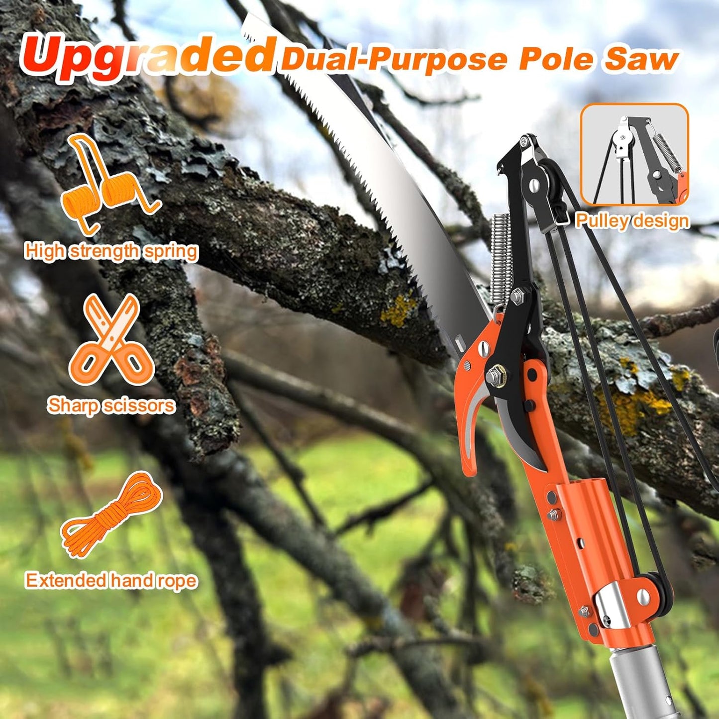 20FT Reach Fruit Picker Pole with Basket Telescoping, Apple Picker with Tree Trimmer and 3-12FT Extension Pole for Orange Lemon Mango Avocado Guava Fruit Picking