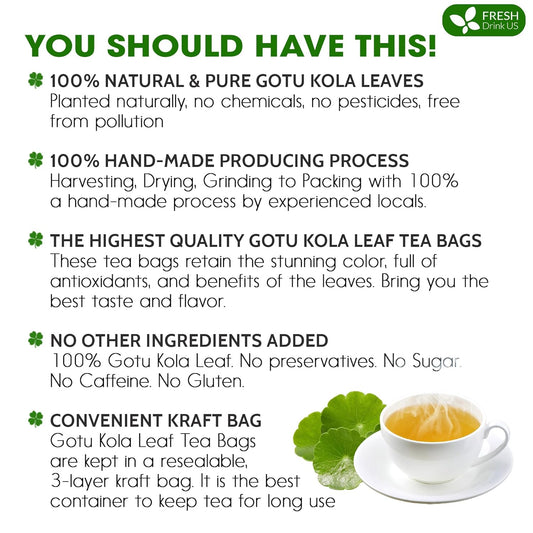 FreshDrinkUS, Premium Gotu Kola Leaf Tea – 75 Tea Bags | Pure Dried Centella Asiatica Leaves | Naturally Caffeine-Free Herbal Tea | Refreshing Aroma & Smooth Taste | Premium Herbal Infusion. Vegan