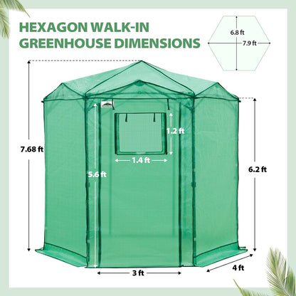 EAGLE PEAK 6.6x6.6 ft Hexagon Pop up Greenhouse, Portable Walk-in Grow Tent for Seed Starting, Garden Plants, Indoor Outdoor Green House, All-Weather Plant Shelter, PE Cover, Green/Clear