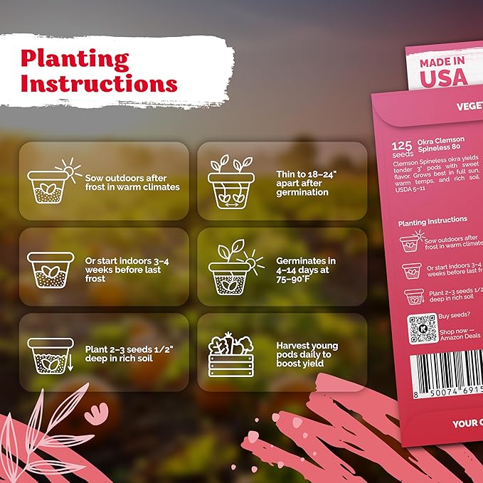 KVITER 125 Clemson Spineless 80 Okra Seeds for Planting (Abelmoschus esculentus) – Heirloom & Organic Okra, Spineless Pods, Heavy Yields – Vegetable Seeds to Plant in Outdoor Garden