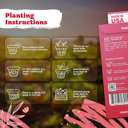 KVITER 125 Clemson Spineless 80 Okra Seeds for Planting (Abelmoschus esculentus) – Heirloom & Organic Okra, Spineless Pods, Heavy Yields – Vegetable Seeds to Plant in Outdoor Garden