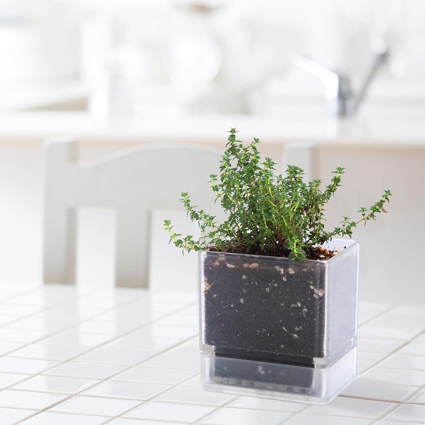 4 Inch Herb Planter Pot, Plastic Planter with Drainage Holes and Saucer, Modern Decorative Gardening Pot for Indoor Plants, Flowers, Herbs, Succulents, Clear, Set of 4, 76-Y-D-4