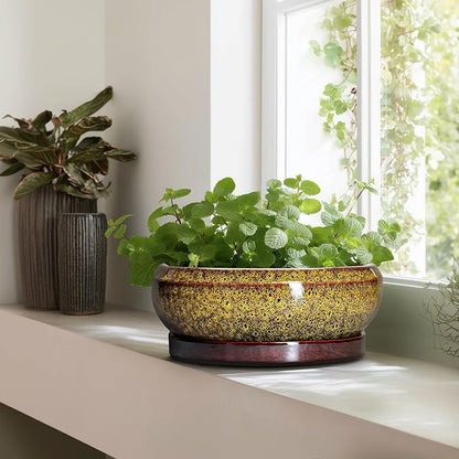 Succulent Pots Large - 13 Inch Ceramic Bonsai Pot with Drainage Hole and Tray, Round Succulent Planters, Shallow Plant Pots Indoor, Bowl Planter Outdoor, Garden Decor, Gardening Gift, Yellow