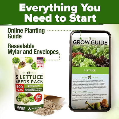 HOME GROWN 5 Lettuce Seed Pack – 3950 Heirloom Vegetable Seeds for Indoor, Outdoor, or Hydroponic Growing – Black Seeded Simpson, Red Romaine, Bibb, Buttercrunch, Iceberg Varieties (Lactuca Sativa)
