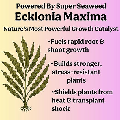 Organic Liquid Indoor Plant Food, Houseplant, Tropical & All-Purpose Indoor Plant Fertilizer, Organic Liquid Fertilizer 5-5-5 with Sea Kelp, 12oz Treats 75 Gallons