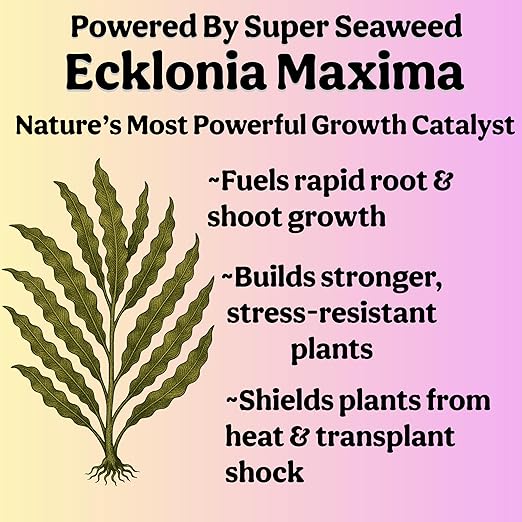 Organic Liquid Indoor Plant Food, Houseplant, Tropical & All-Purpose Indoor Plant Fertilizer, Organic Liquid Fertilizer 5-5-5 with Sea Kelp, 8oz Treats 50 Gallons
