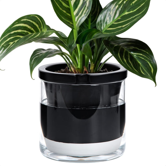 D'vine Dev 8 Inch Design Self Watering Planter for Indoor Plants, Black Terracotta Pot with Cylinder Glass Cup, 37-X-C-3