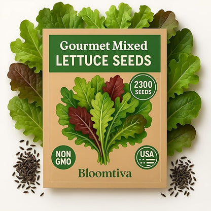 Lettuce Seeds – Gourmet Mixed Greens Blend for Planting | 2300 Bulk Non-GMO USA Heirloom Seeds – Crisp, Fresh & Fast-Growing Garden Variety (Lactuca Sativa)