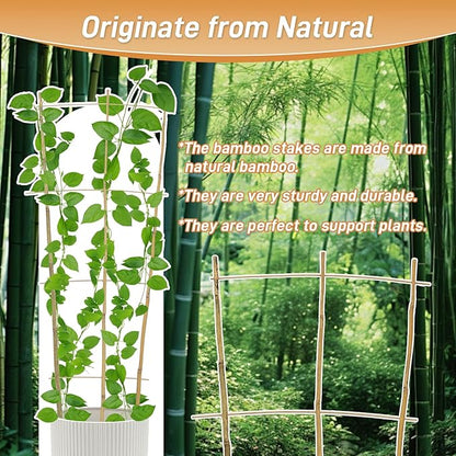 10 Pack 3ft Bamboo Trellis for Climbing Plants-Natural Garden Ladder Trellis, Fan -Shaped Support Trellis for Potted Plant Decor in Door
