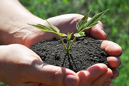 Organic Worm Castings Premium Worm Castings Fertilizer for Nutrient-Rich Soil and Healthy Growth (1 Quart)