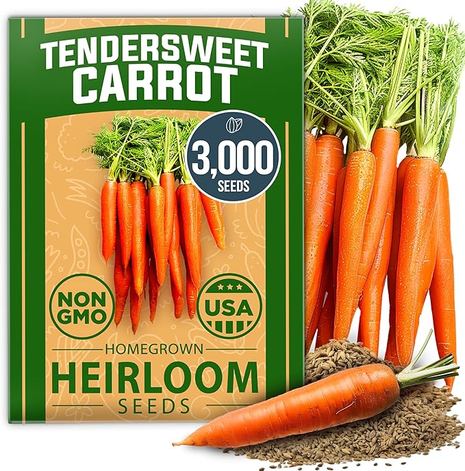 HOME GROWN Tendersweet Carrots Seeds 1 Pack - 3000 Non-GMO Heirloom Carrot Seeds for Planting Outdoors - High- (Daucus carota subsp. sativus)